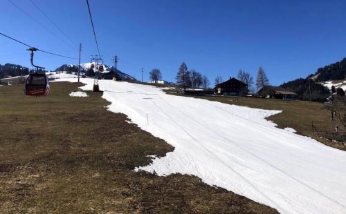 20190320-zweisimmen-3079.jpg
