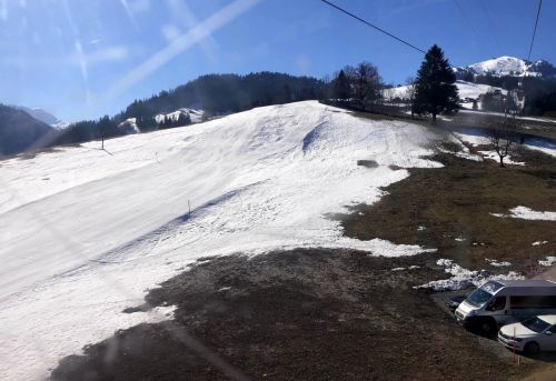 20190320-zweisimmen-3080.jpg