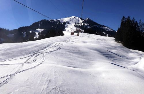 20190320-zweisimmen-3081.jpg