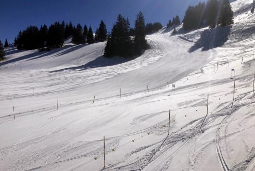 20190320-zweisimmen-3083.jpg
