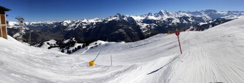 20190320-zweisimmen-3084.jpg