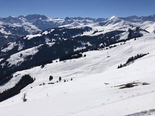 20190320-zweisimmen-3085.jpg