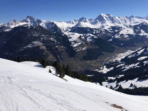 20190320-zweisimmen-3086.jpg