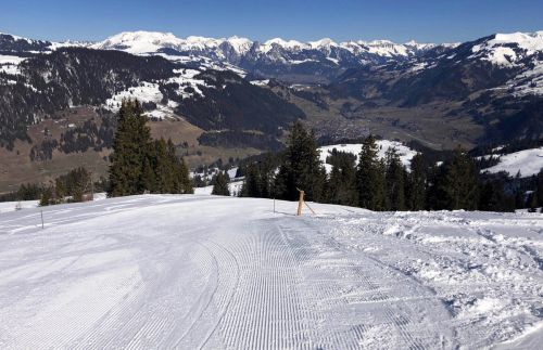 20190320-zweisimmen-3087.jpg
