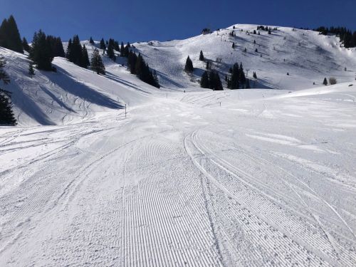 20190320-zweisimmen-3088.jpg