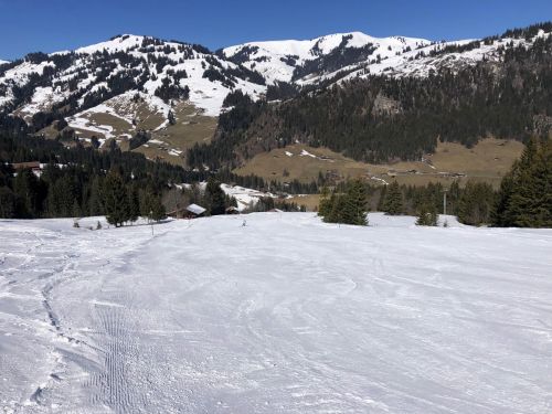 20190320-zweisimmen-3089.jpg