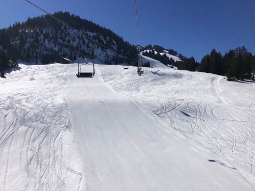 20190320-zweisimmen-3090.jpg