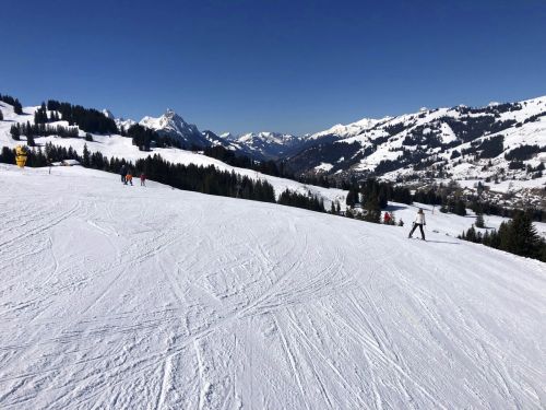 20190320-zweisimmen-3093.jpg