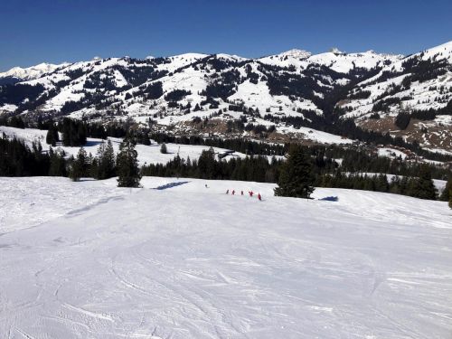 20190320-zweisimmen-3094.jpg