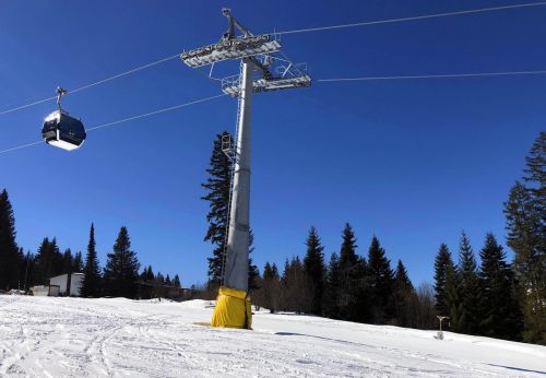 20190320-zweisimmen-3097.jpg