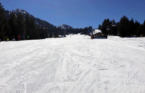 20190320-zweisimmen-3098.jpg