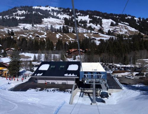 20190320-zweisimmen-3109.jpg