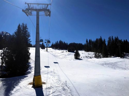 20190320-zweisimmen-3110.jpg