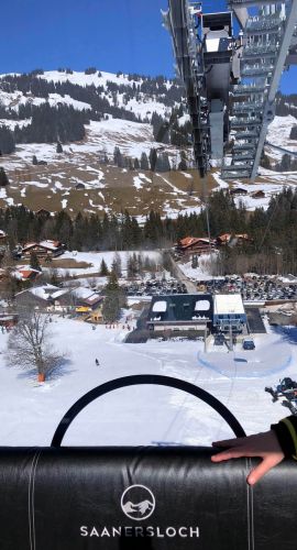 20190320-zweisimmen-3111.jpg