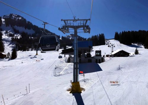 20190320-zweisimmen-3112.jpg