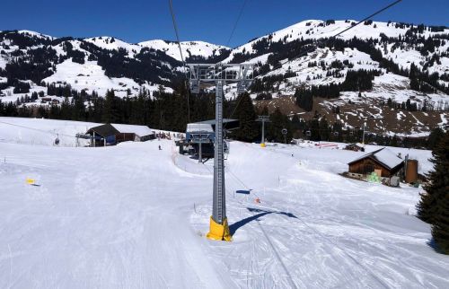 20190320-zweisimmen-3116.jpg