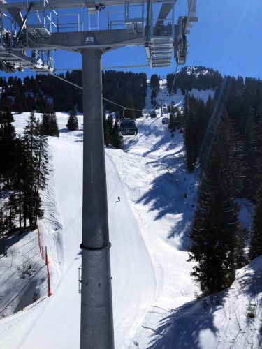 20190320-zweisimmen-3117.jpg