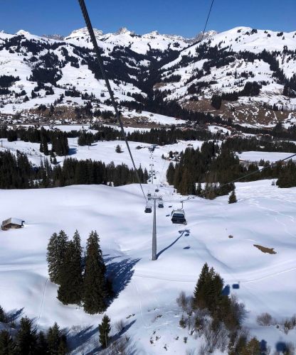 20190320-zweisimmen-3118.jpg