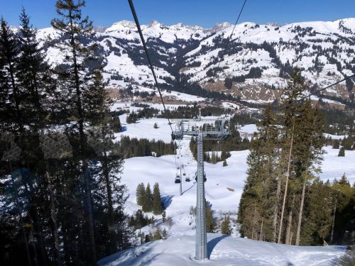 20190320-zweisimmen-3120.jpg