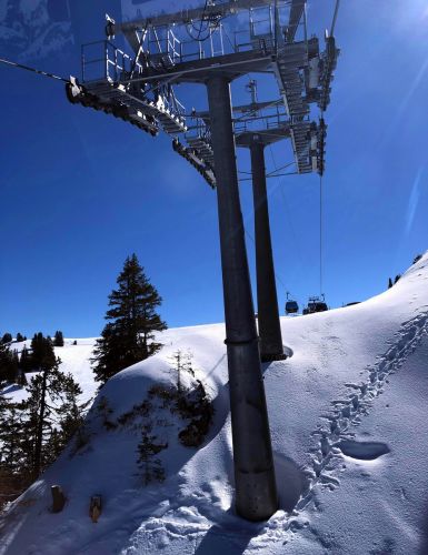 20190320-zweisimmen-3123.jpg