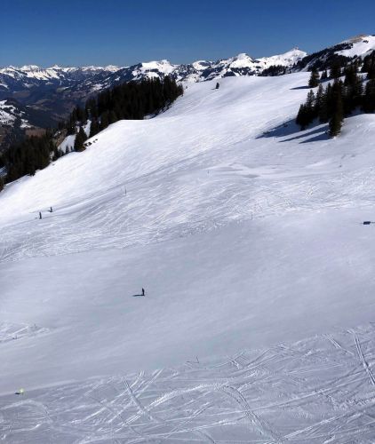 20190320-zweisimmen-3125.jpg