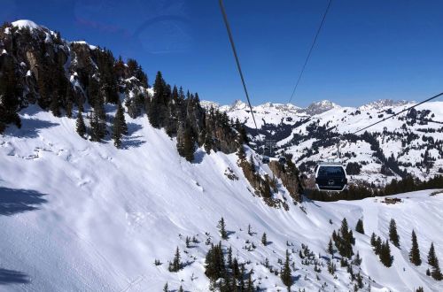 20190320-zweisimmen-3126.jpg