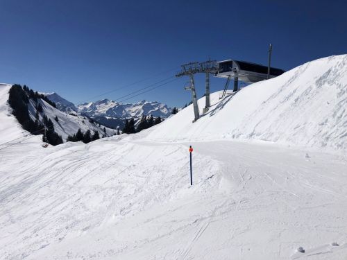 20190320-zweisimmen-3132.jpg
