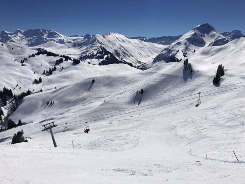 20190320-zweisimmen-3133.jpg