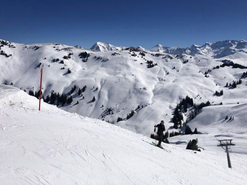 20190320-zweisimmen-3134.jpg