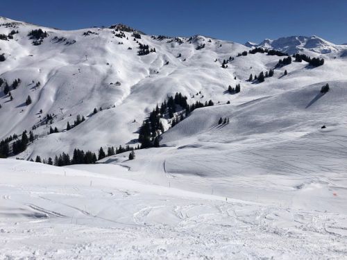 20190320-zweisimmen-3135.jpg