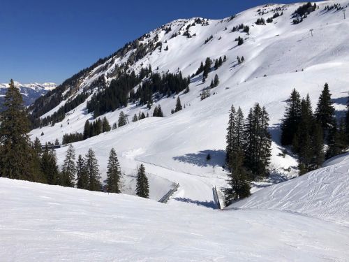 20190320-zweisimmen-3137.jpg