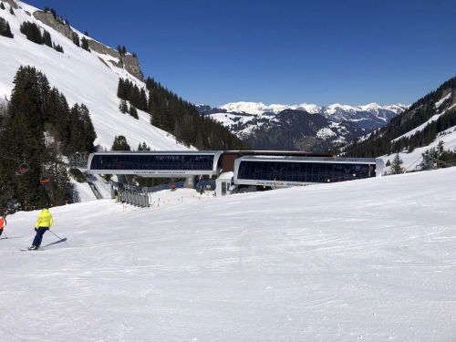 20190320-zweisimmen-3138.jpg