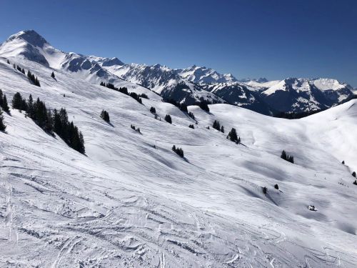 20190320-zweisimmen-3140.jpg