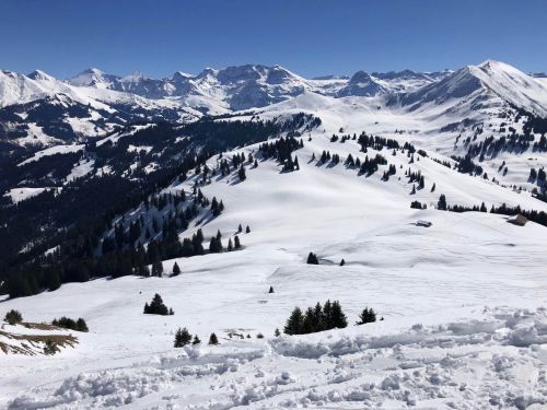 20190320-zweisimmen-3141.jpg