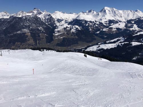 20190320-zweisimmen-3142.jpg