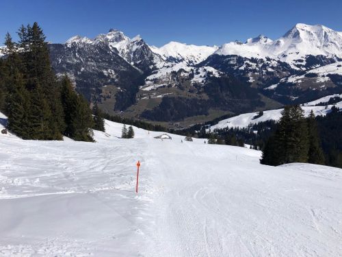 20190320-zweisimmen-3143.jpg