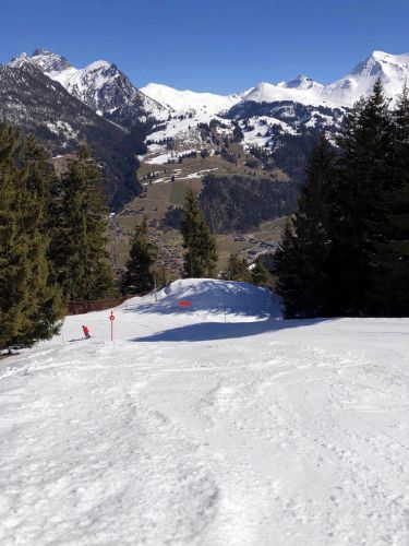 20190320-zweisimmen-3144.jpg
