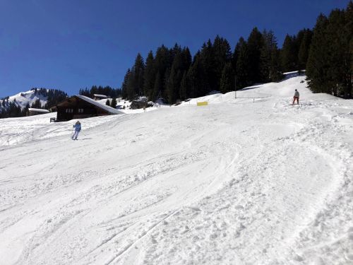 20190320-zweisimmen-3145.jpg