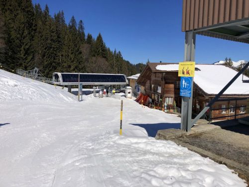 20190320-zweisimmen-3148.jpg