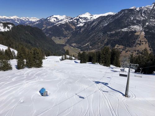 20190320-zweisimmen-3149.jpg