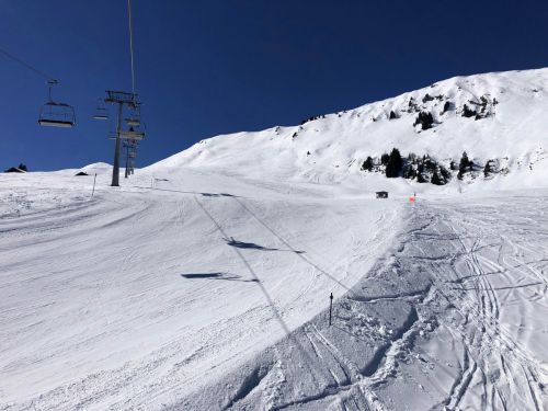 20190320-zweisimmen-3150.jpg