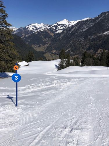 20190320-zweisimmen-3152.jpg