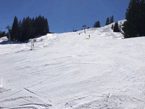20190320-zweisimmen-3153.jpg