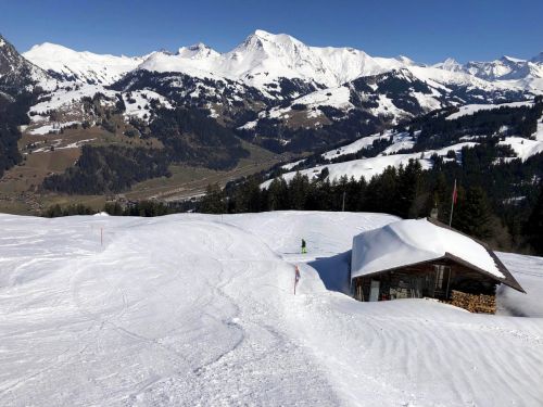 20190320-zweisimmen-3167.jpg
