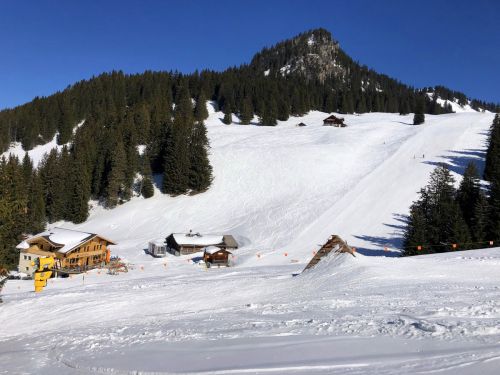 20190320-zweisimmen-3169.jpg