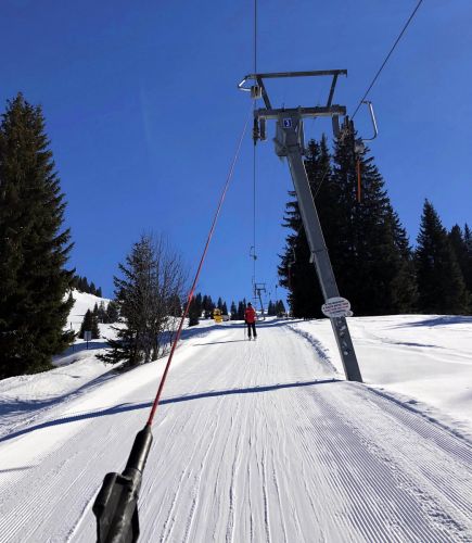 20190320-zweisimmen-3170.jpg