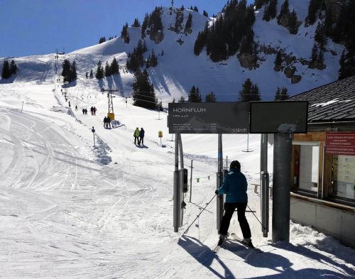 20190320-zweisimmen-3171.jpg