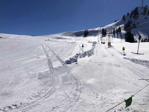 20190320-zweisimmen-3172.jpg