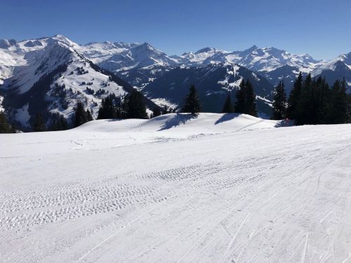 20190320-zweisimmen-3173.jpg