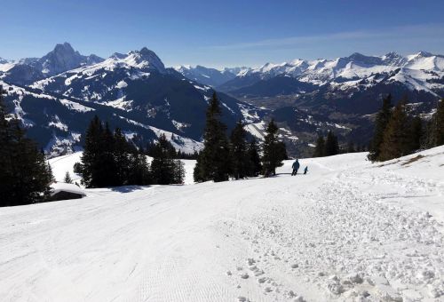 20190320-zweisimmen-3174.jpg